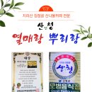 자연과 사람의 공존 -, 산청 지리산 대원사계곡! 이미지