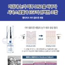 세기스템셀 네이버블로그