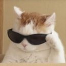 미녀미용실 | 강서 히피펌의 성지 [미녀들의 수다] 미용실 후기