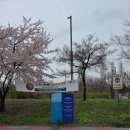 스타벅스 서울웨이브아트센터점 | 스타벅스 서울웨이브아트센터점 평일 점심 후기