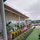 쉬리농장 이미지