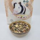 평생친구들 | 🥕 잘 자라고 있는 기니피그 친구들! 고객 후기와 신규 사료 입고 소식