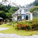 비발디스케치북