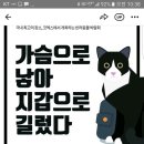 코엑스 반려동물 박람회에. 홍언니 출동해요~~ 이미지