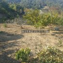 내서읍380 이미지