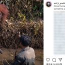 프라브미 이미지