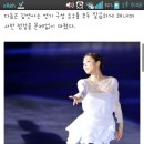 내기준 김연아 의상갑 이미지