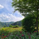 예밀포도마을팜스테이영농조합법인 이미지