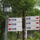 숲속의산책 펜션 이미지