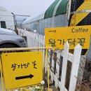 왈가닥꽃 이미지