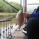 봉재 낚시터 이미지