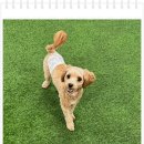 아이조아 요양보호소 경기광주 이미지