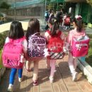 가야태권도 이미지