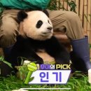 하이고 이미지