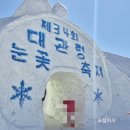 대관령로 | 내돈내산_ 2026년 대관령눈꽃축제 (눈썰매) 후기