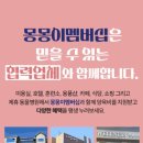 몽몽이펫샵