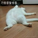 가람동물병원 이미지