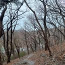 돌샘약수터 이미지