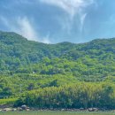 NR-19[섬진강대로]-상-79 | [ 하동 ] 기다림의 미학, 하동의 힐링 여행 코스