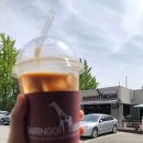 바링고빈스 이미지