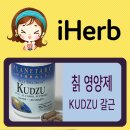 제인중국한의원 | 아이허브에 칡뿌리 영양제도 있다고? (갈근 효능, 입마름 개선)