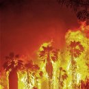 켈리포니아 이미지