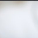 금천한방병원 이미지