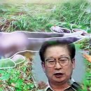 초동목장 이미지