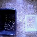 경북농업기술원 영양고추시험장 이미지