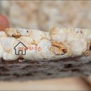 농업회사법인 (주)어니스트파머 이미지