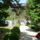 대율초등학교 이미지