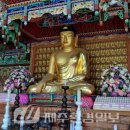 제주 금붕사 오백나한도 | [향토문화] 구좌읍 지역 불교 포교 중심지..하도리 돈수암 터(금붕사)
