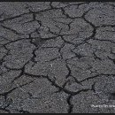 고양이세수 이미지