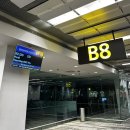 퍼스-시드니 신행 (2) 두근두근 여행의 시작 ✈️ | 싱가포르항공 후기(인천-싱가포르-퍼스구간) | 퍼스...
