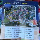 예천 10월축제 금당야행 후기