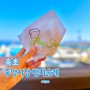 시장빵집 | 속초 빵지순례 중앙시장 팡파미유 빵집 솔직후기