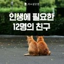 인생에 필요한 12명의 친구 이미지