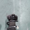 프로카모터스 이미지