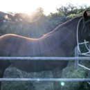 테마하우스민박 이미지