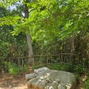 홍가농장 이미지