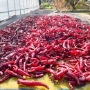 해돈농장 이미지