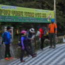번개사 이미지