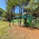 남부순환도로 이미지