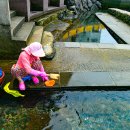 샛도리물 이미지