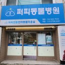 퍼피엔젤 반려동물 미용실 이미지