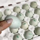 통일청란 이미지