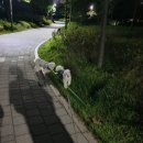 슈슈댕 네이버블로그