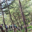 안강초등학교 이미지