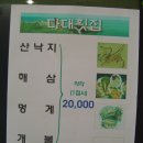 다대횟집 Daum카페