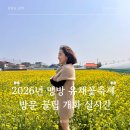 동양바이크 | 동해 삼척 가볼만한 곳 맹방 유채꽃 축제 방문 꿀팁 날짜 개화 실시간 후기